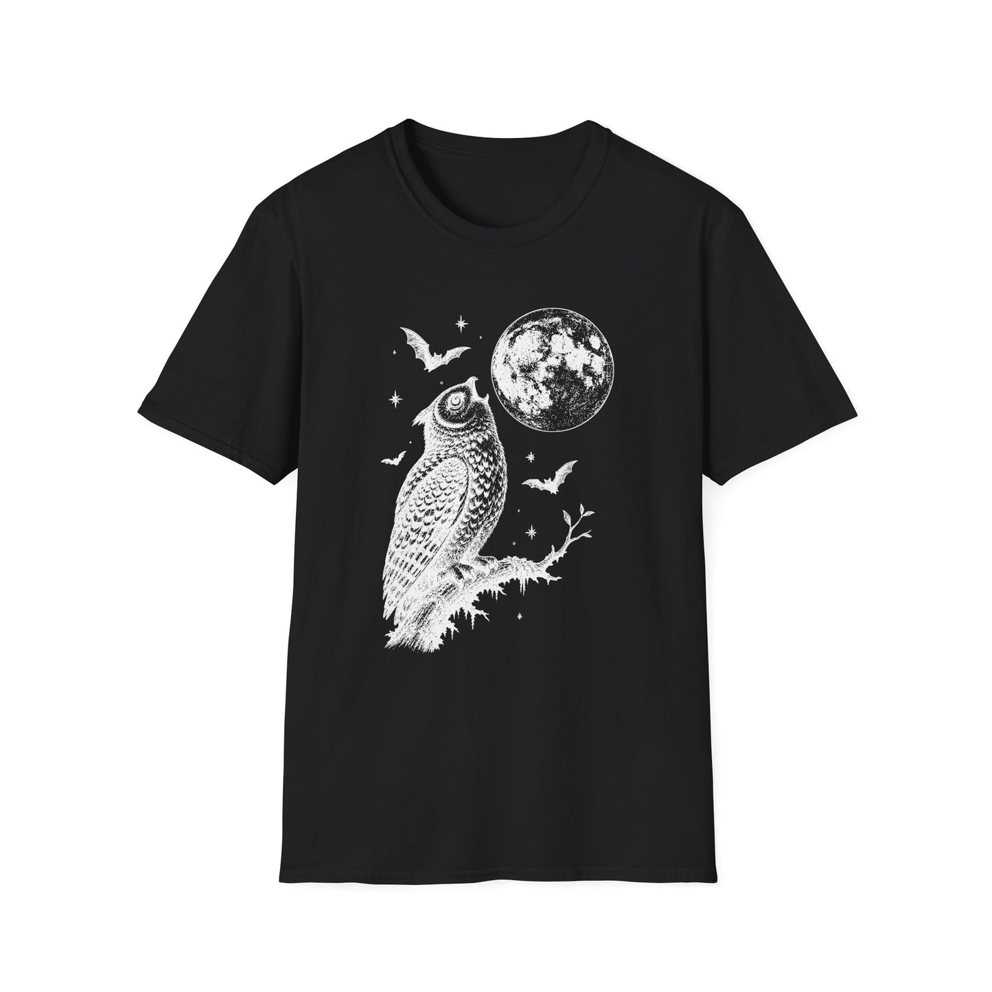 Moonlit Owl & Full Moon