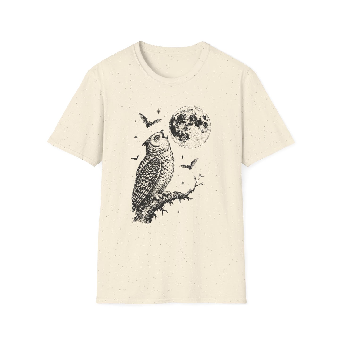 Moonlit Owl & Full Moon