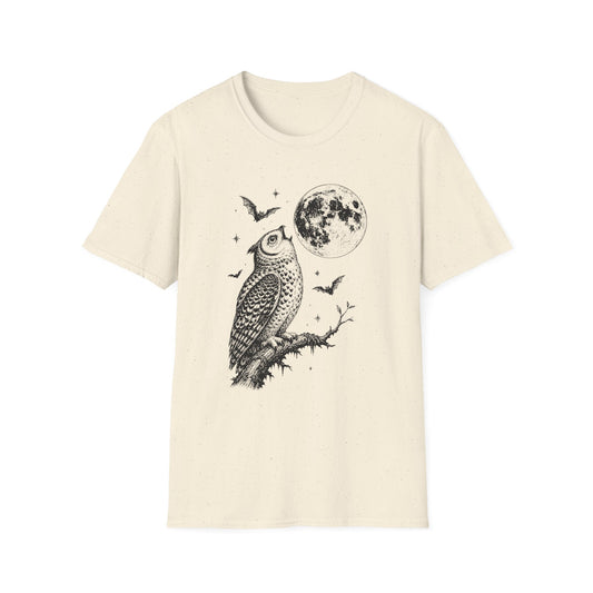 Moonlit Owl & Full Moon