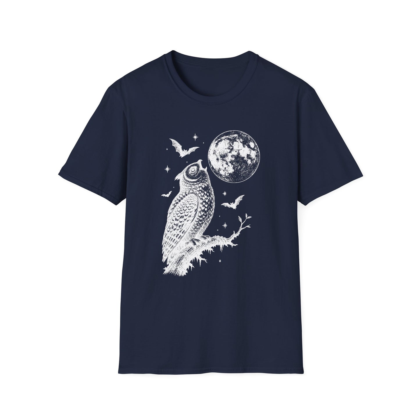 Moonlit Owl & Full Moon